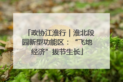 政协江淮行｜淮北段园新型功能区：“飞地经济”拔节生长