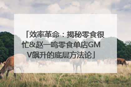 效率革命：揭秘零食很忙&赵一鸣零食单店GMV飙升的底层方法论