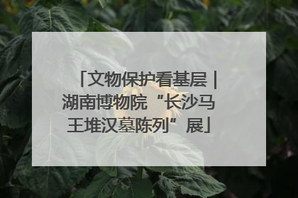文物保护看基层｜湖南博物院“长沙马王堆汉墓陈列”展