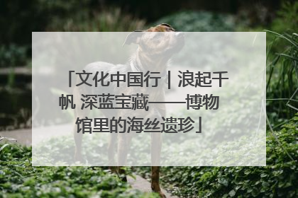 文化中国行｜浪起千帆 深蓝宝藏——博物馆里的海丝遗珍