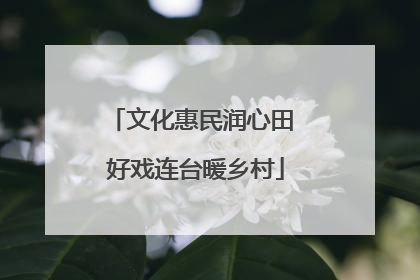 文化惠民润心田 好戏连台暖乡村