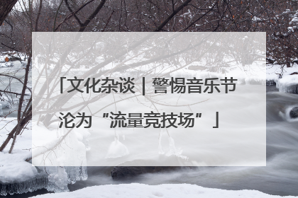 文化杂谈｜警惕音乐节沦为“流量竞技场”