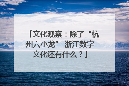 文化观察：除了“杭州六小龙” 浙江数字文化还有什么？