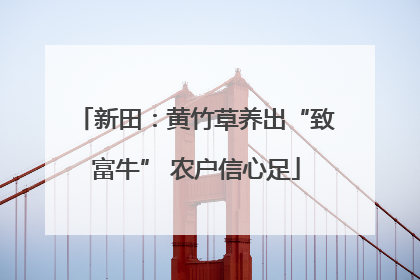 新田：黄竹草养出“致富牛” 农户信心足