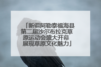 新疆阿勒泰福海县第二届沙尔布拉克草原运动会盛大开幕 展现草原文化魅力