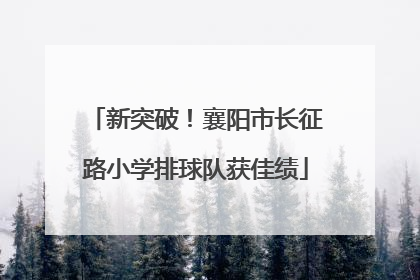 新突破！襄阳市长征路小学排球队获佳绩