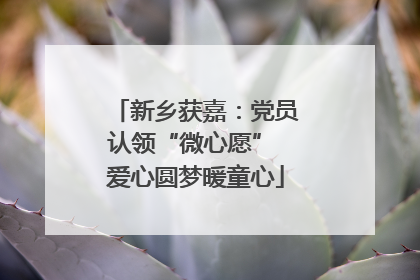 新乡获嘉：党员认领“微心愿” 爱心圆梦暖童心
