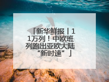 新华鲜报丨11万列！中欧班列跑出亚欧大陆“新时速”