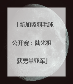 新加坡羽毛球公开赛：陆光祖获男单亚军