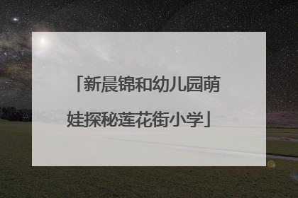 新晨锦和幼儿园萌娃探秘莲花街小学