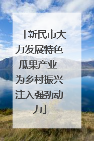 新民市大力发展特色瓜果产业 为乡村振兴注入强劲动力