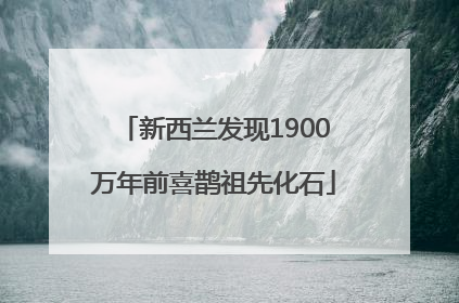 新西兰发现1900万年前喜鹊祖先化石
