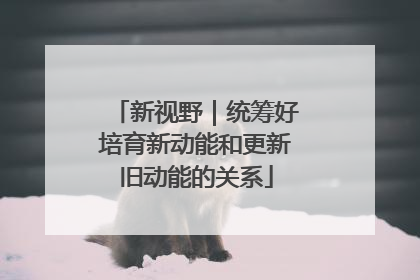新视野｜统筹好培育新动能和更新旧动能的关系