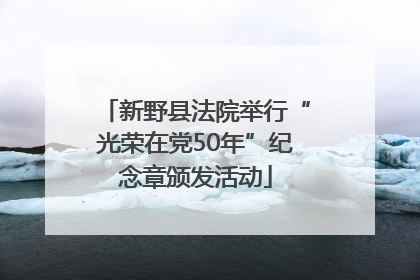 新野县法院举行“光荣在党50年”纪念章颁发活动