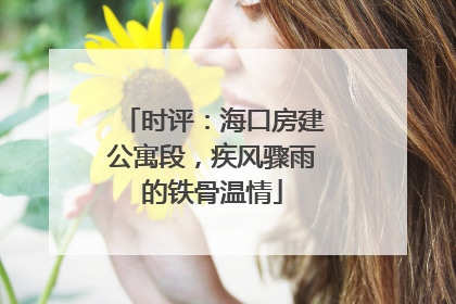 时评：海口房建公寓段，疾风骤雨的铁骨温情