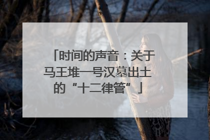 时间的声音：关于马王堆一号汉墓出土的“十二律管”