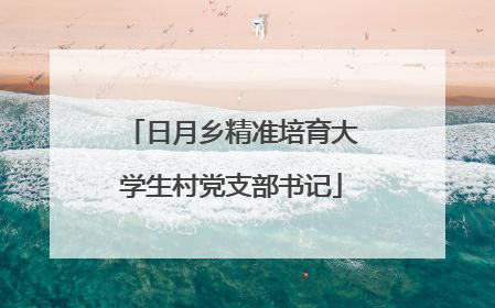 日月乡精准培育大学生村党支部书记