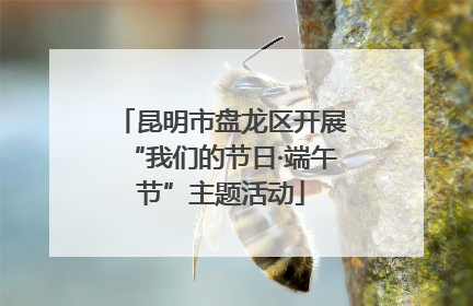 昆明市盘龙区开展“我们的节日·端午节”主题活动