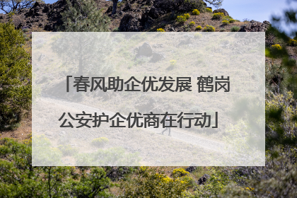 春风助企优发展 鹤岗公安护企优商在行动