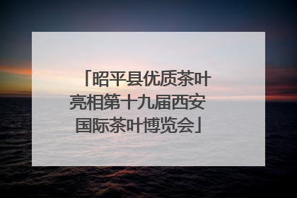昭平县优质茶叶亮相第十九届西安国际茶叶博览会