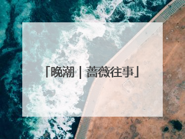 晚潮｜蔷薇往事