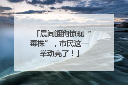晨间遛狗惊现“毒株”，市民这一举动亮了！