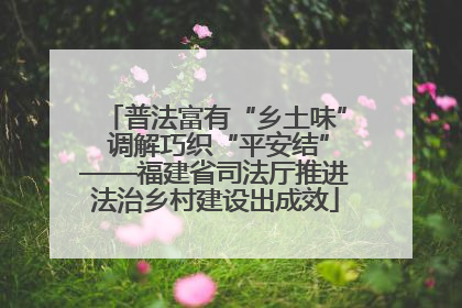 普法富有“乡土味” 调解巧织“平安结”——福建省司法厅推进法治乡村建设出成效