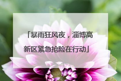 暴雨狂风夜，淄博高新区紧急抢险在行动