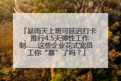 暴雨天上班可延迟打卡、推行4.5天弹性工作制……这些企业花式宠员工你“慕”了吗？