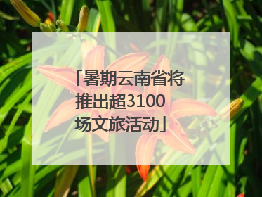 暑期云南省将推出超3100场文旅活动