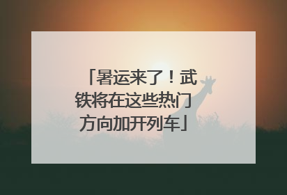 暑运来了！武铁将在这些热门方向加开列车