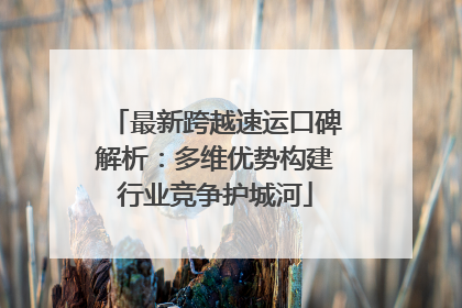 最新跨越速运口碑解析：多维优势构建行业竞争护城河