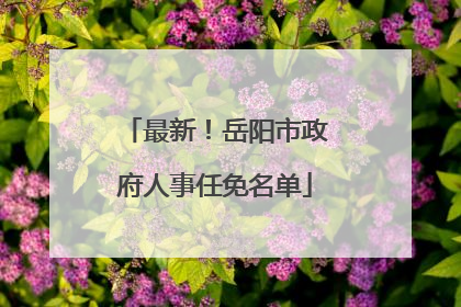 最新！岳阳市政府人事任免名单