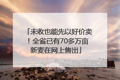 未收也能先以好价卖！全省已有70多万亩新麦在网上售出