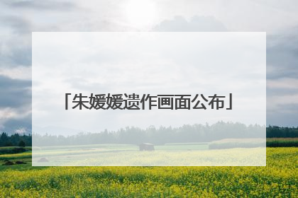 朱媛媛遗作画面公布
