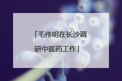 毛伟明在长沙调研中医药工作