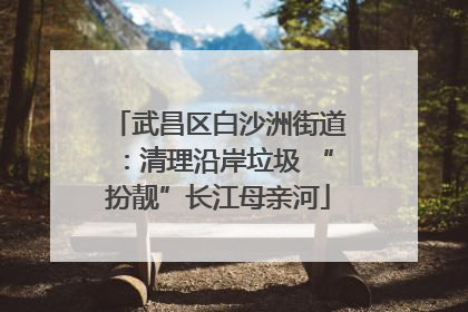 武昌区白沙洲街道：清理沿岸垃圾 “扮靓”长江母亲河
