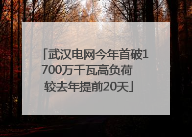 武汉电网今年首破1700万千瓦高负荷 较去年提前20天
