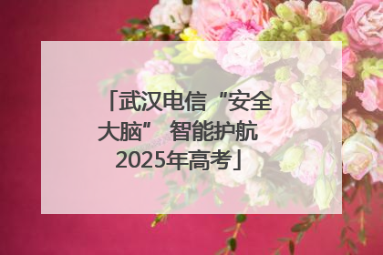 武汉电信“安全大脑” 智能护航2025年高考