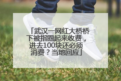 武汉一网红大桥桥下被指圈起来收费，进去100块还必须消费？当地回应