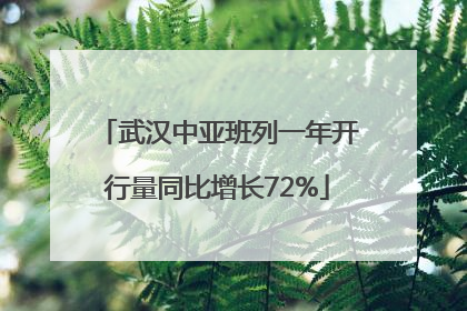 武汉中亚班列一年开行量同比增长72%