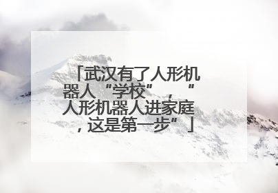 武汉有了人形机器人“学校”，“人形机器人进家庭，这是第一步”
