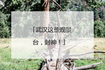 武汉这些观景台，封神！