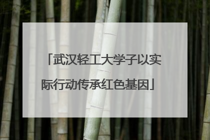 武汉轻工大学子以实际行动传承红色基因