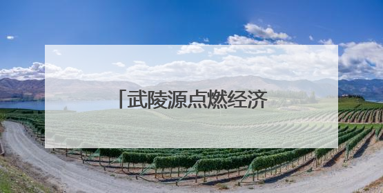 武陵源点燃经济发展引擎 “一业兴”带动百业旺