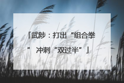 武陟：打出“组合拳” 冲刺“双过半”