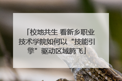 校地共生 看新乡职业技术学院如何以“技能引擎”驱动区域腾飞