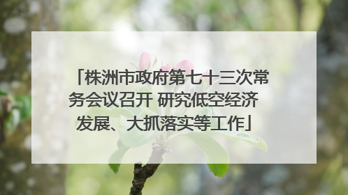 株洲市政府第七十三次常务会议召开 研究低空经济发展、大抓落实等工作