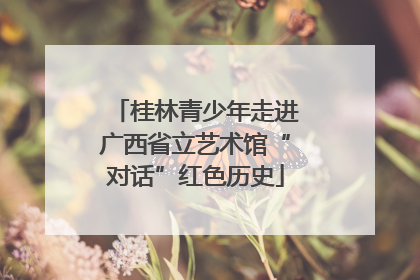 桂林青少年走进广西省立艺术馆“对话”红色历史