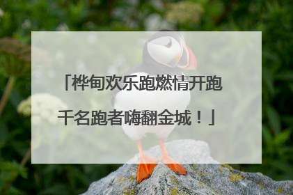 桦甸欢乐跑燃情开跑 千名跑者嗨翻金城！